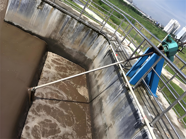 ���Dʽ�{�����T